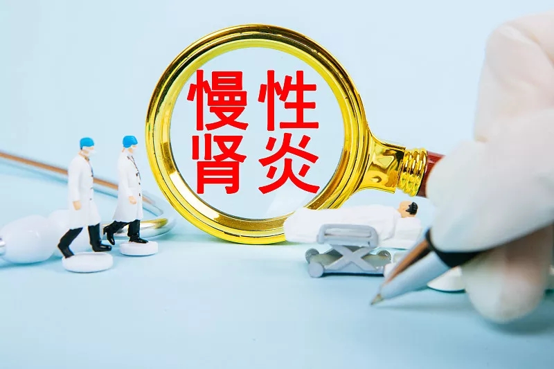 干細(xì)胞和細(xì)胞外囊泡在腎小球腎炎中的治療作用 干細(xì)胞和細(xì)胞外囊泡在腎小球腎炎中的治療作用