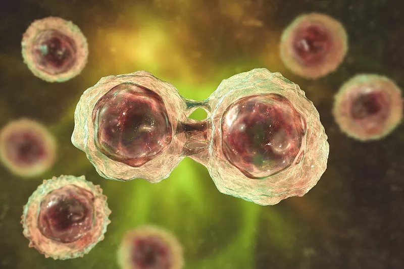 間充質(zhì)干細胞治療疾病的作用機制