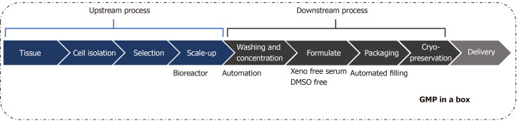 圖1：治療性細胞制造加工的工作流程。