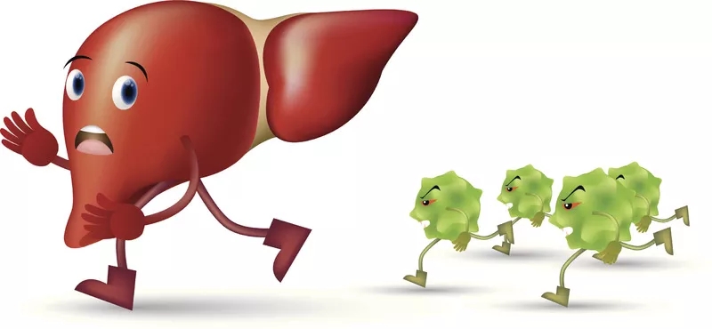 臍帶間充質(zhì)干細胞治療肝病的應(yīng)用