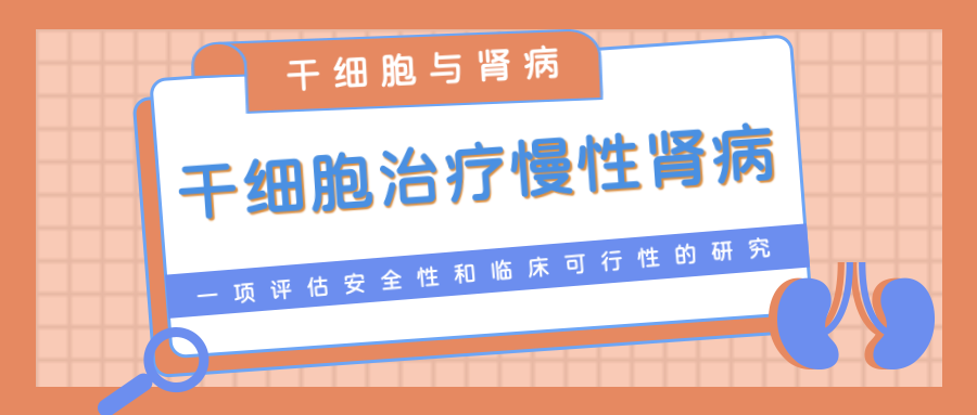 干細胞治療慢性腎病臨床研究 干細胞治療慢性腎病臨床研究
