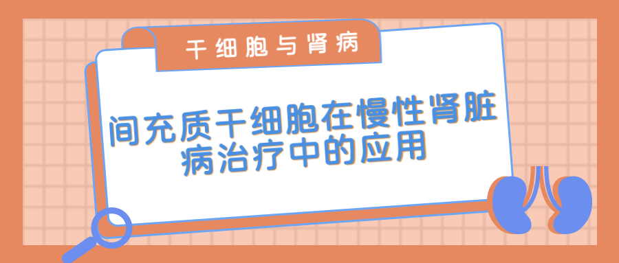 間充質(zhì)干細(xì)胞在治療慢性腎臟病中的應(yīng)用 間充質(zhì)干細(xì)胞在治療慢性腎臟病中的應(yīng)用