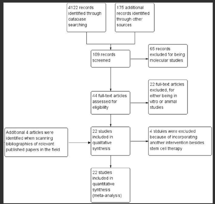 圖1.顯示記錄識別、篩選和研究納入過程的流程圖。