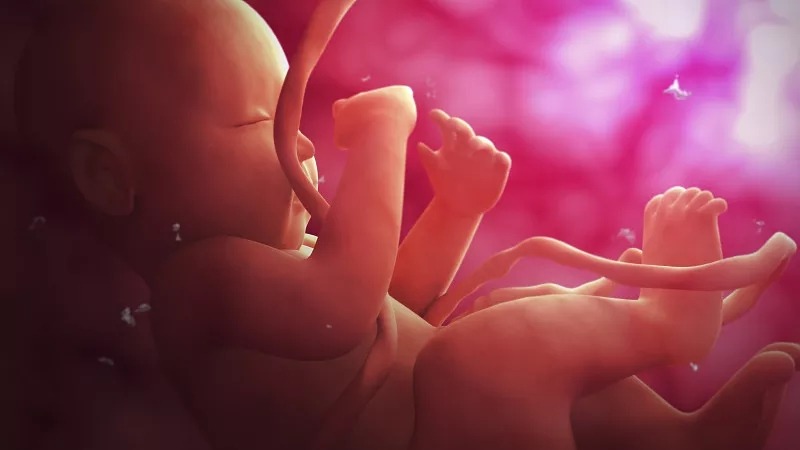 臍帶間充質(zhì)干細(xì)胞的作用和功效是什么？在哪些疾病具有臨床應(yīng)用價(jià)值？