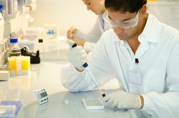 什么是干細(xì)胞？關(guān)于一系列干細(xì)胞的簡(jiǎn)短知識(shí)