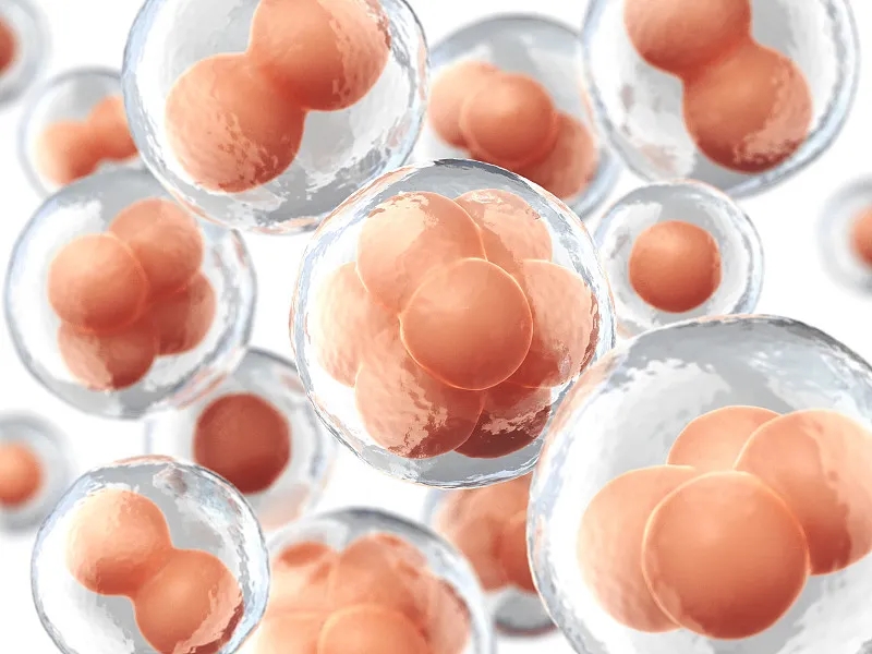 為什么要進(jìn)行干細(xì)胞移植 為什么要進(jìn)行干細(xì)胞移植