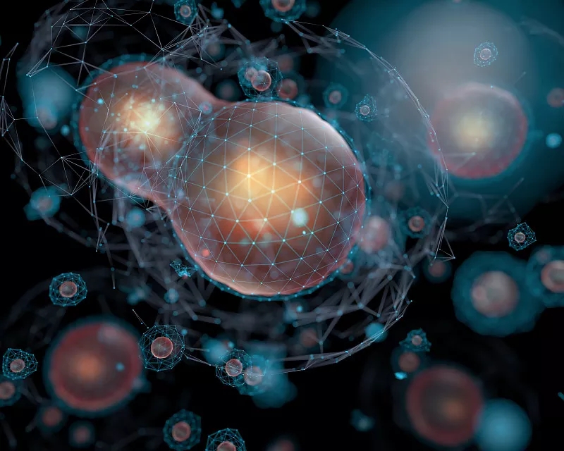 為什么對(duì)干細(xì)胞有爭(zhēng)議？