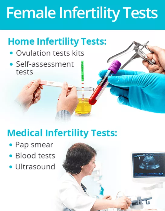 女性不育檢查 女性不育檢查