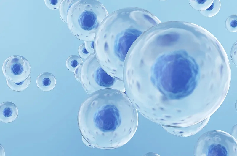 細(xì)胞治療不孕癥的程序是什么 細(xì)胞治療不孕癥的程序是什么