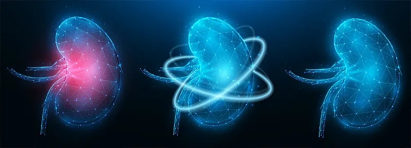 干細(xì)胞治療慢性腎病相對(duì)于腎移植的10個(gè)好處