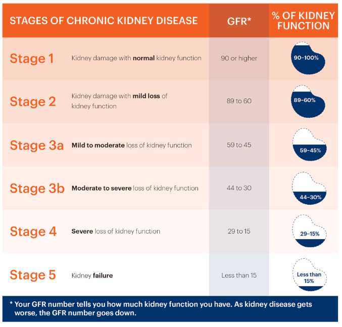 慢性腎病的階段、腎臟慢性腎病治療、腎衰竭治療費(fèi)用