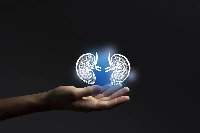 除了透析治療腎衰竭，還有什么治療方法？