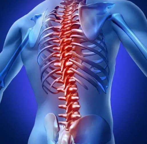 什么是脊髓損傷？