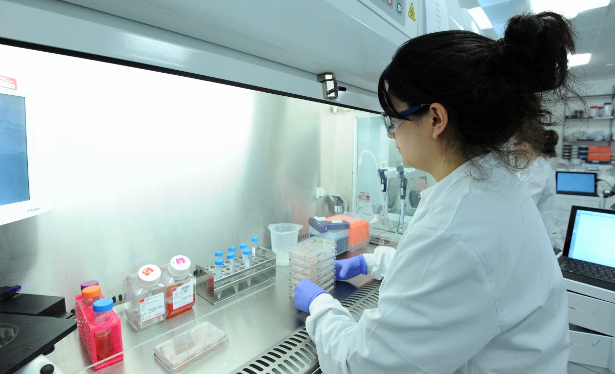 一位科學家正在研究誘導多能干細胞。圖片來源：Genome Research Limited