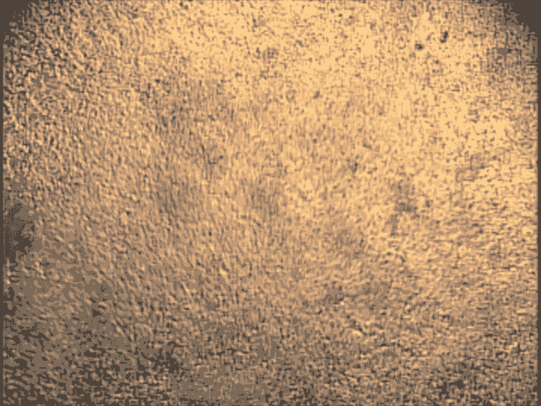 這些心臟細胞是從培養(yǎng)皿中的干細胞中培養(yǎng)出來的，可用于研究心臟的跳動節(jié)律。