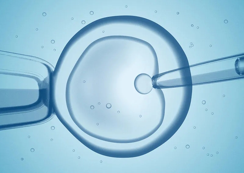 什么是干細胞移植和骨髓移植？