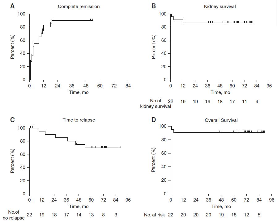 圖4：隊(duì)列中患者的完全緩解概率、腎臟存活率、復(fù)發(fā)時(shí)間和總體存活率。