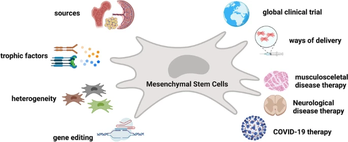 間充質(zhì)干細(xì)胞的細(xì)胞療法的全球趨勢(shì)簡(jiǎn)要概述