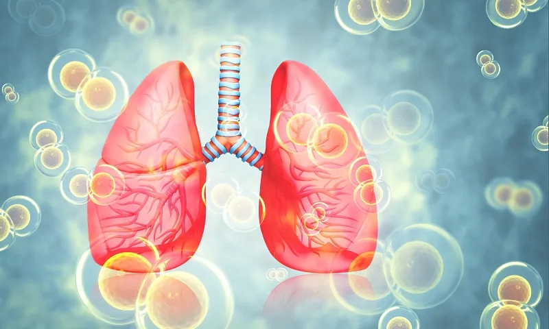 關(guān)于慢性阻塞性肺病(COPD)你需要知道的一切 關(guān)于慢性阻塞性肺?。–OPD)你需要知道的一切