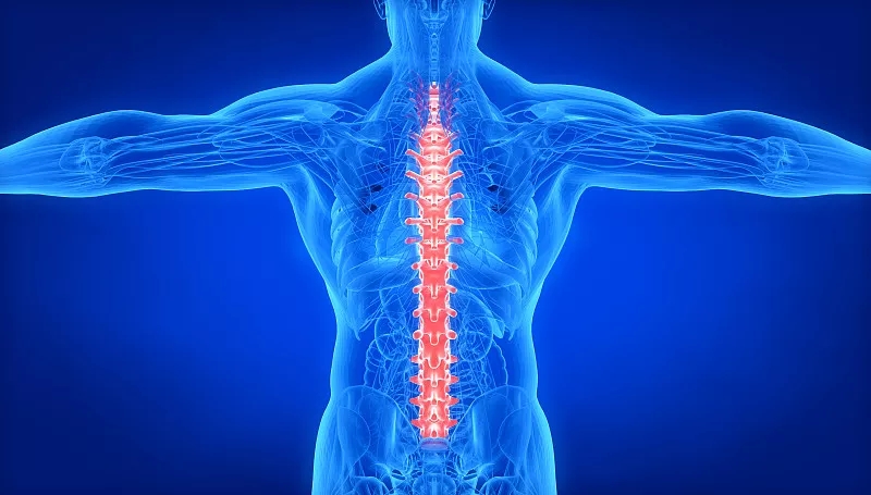 關(guān)于脊髓損傷和康復的常見問題 (FAQ) 關(guān)于脊髓損傷和康復的常見問題 (FAQ)