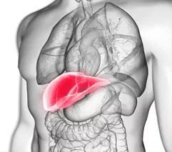 是什么原因?qū)е赂螕p傷？