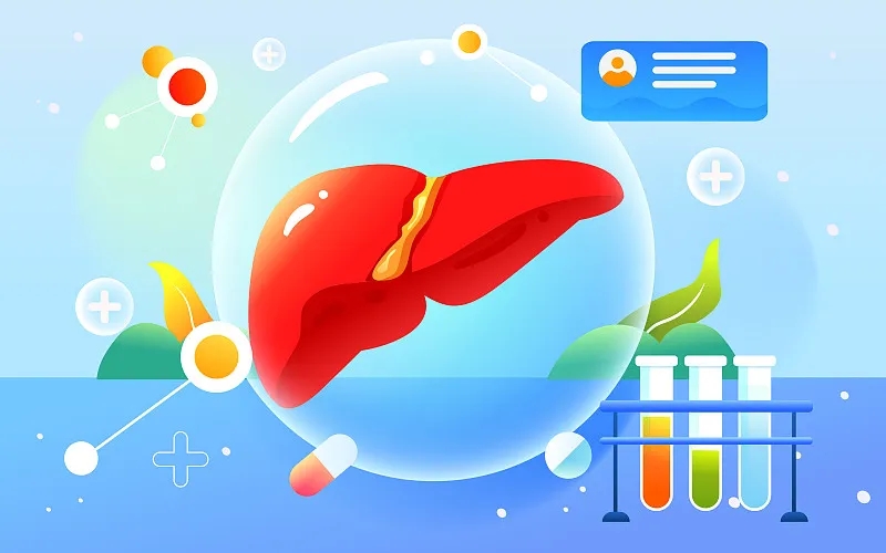 肝臟大小對(duì)我的健康有何影響？