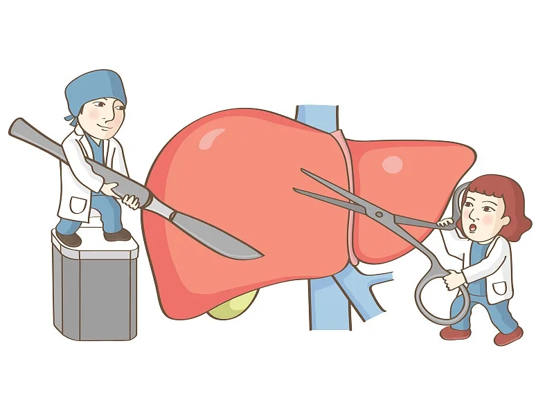 關(guān)于肝移植的事實 關(guān)于肝移植的事實