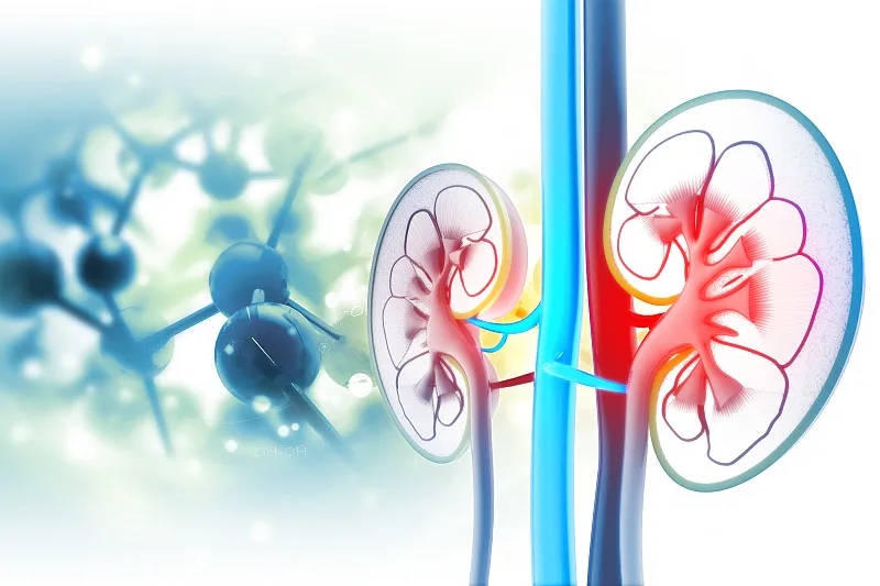 急性腎衰竭和慢性腎病有什么區(qū)別？
