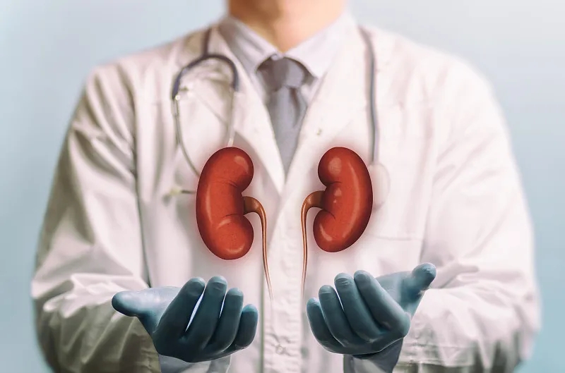 慢性腎臟病階段：癥狀、治療和預(yù)防