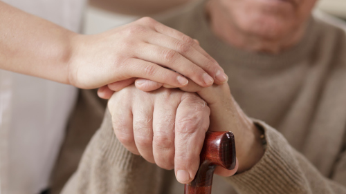 研究表明免疫調(diào)節(jié)性TREGS可增強(qiáng)干細(xì)胞治療帕金森病的效果 研究表明免疫調(diào)節(jié)性TREGS可增強(qiáng)干細(xì)胞治療帕金森病的效果