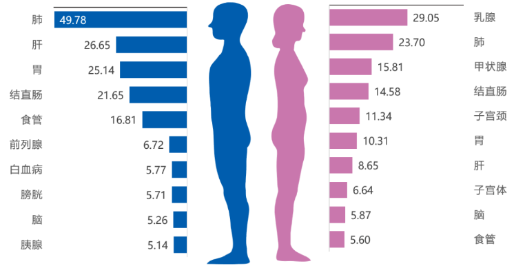 中山大學(xué)腫瘤防治中心揭示：免疫細(xì)胞治療，助最高發(fā)的5大癌癥患者重獲新生！