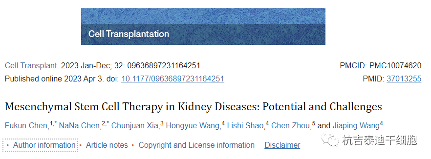 細(xì)胞移植:間充質(zhì)干細(xì)胞治療腎臟疾病的潛力和挑戰(zhàn) 細(xì)胞移植:間充質(zhì)干細(xì)胞治療腎臟疾病的潛力和挑戰(zhàn)
