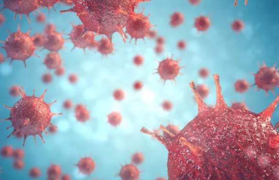 間充質(zhì)干細(xì)胞在治療新冠病毒導(dǎo)致的中風(fēng)中具有臨床價(jià)值