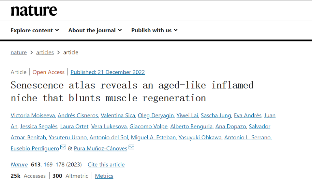 衰老圖譜揭示了一個類似衰老的發(fā)炎生態(tài)位，會阻礙肌肉再生
