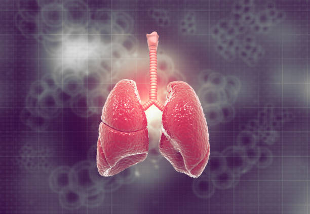 肺纖維化：干細胞治療是前進的方向嗎？