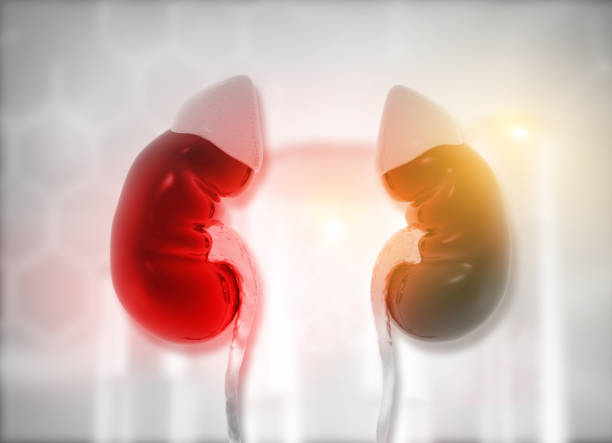 間充質干細胞治療急性腎損傷的潛在優(yōu)勢