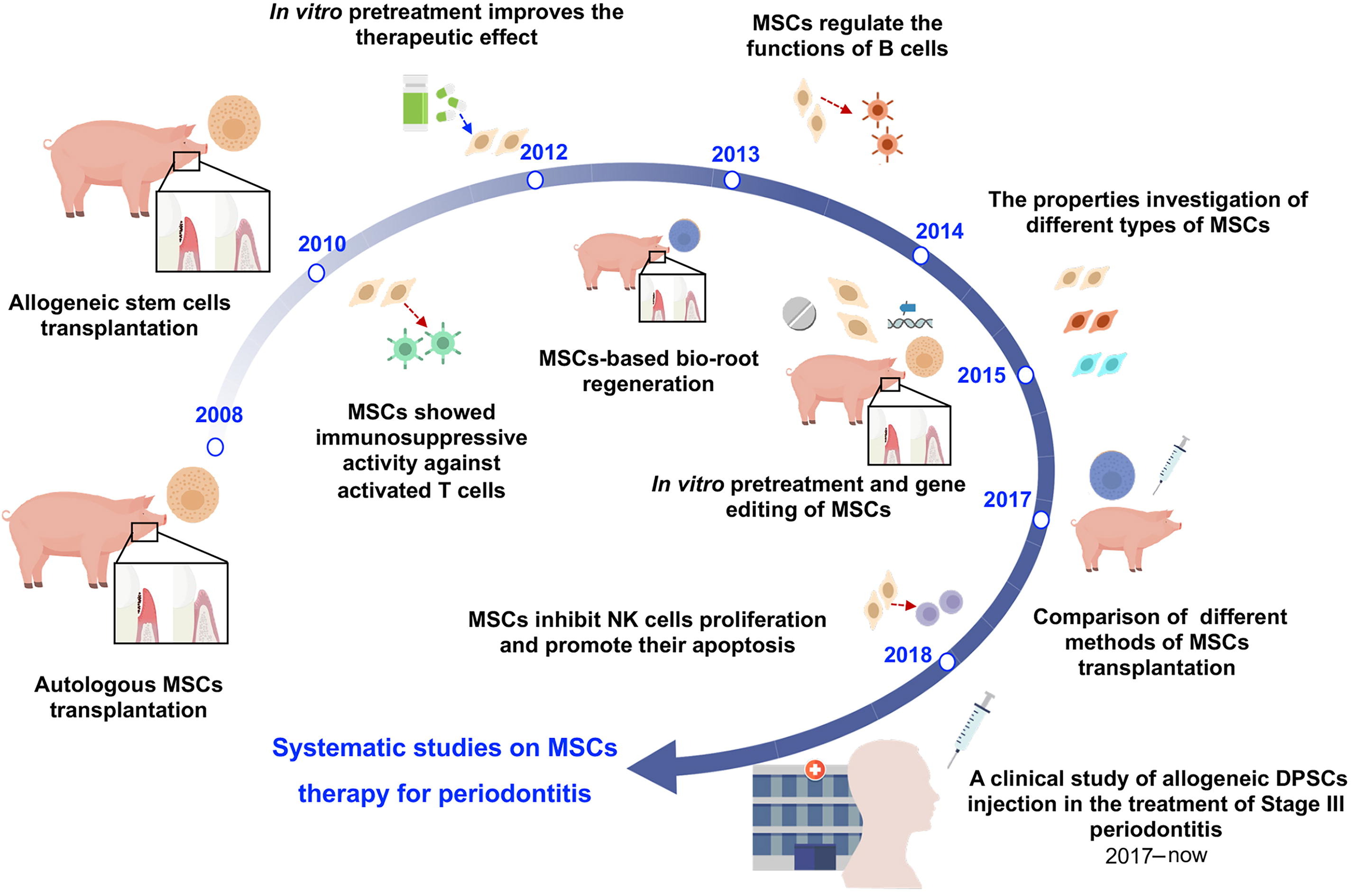 圖1:中國開發(fā)治療牙周炎的間充質(zhì)干細胞藥物示意圖 圖1:中國開發(fā)治療牙周炎的間充質(zhì)干細胞藥物示意圖