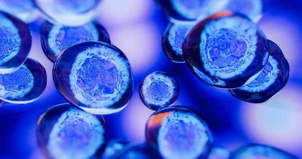 人間充質(zhì)干細胞藥物的開發(fā)及臨床應用