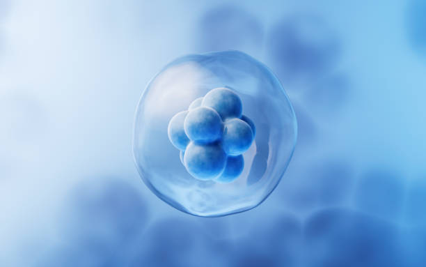 關于干細胞方面經常問的問題有哪些？