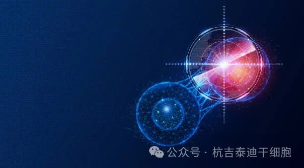 盤點2023干細胞療法五大突破性進展，沖破難治性疾病壁壘