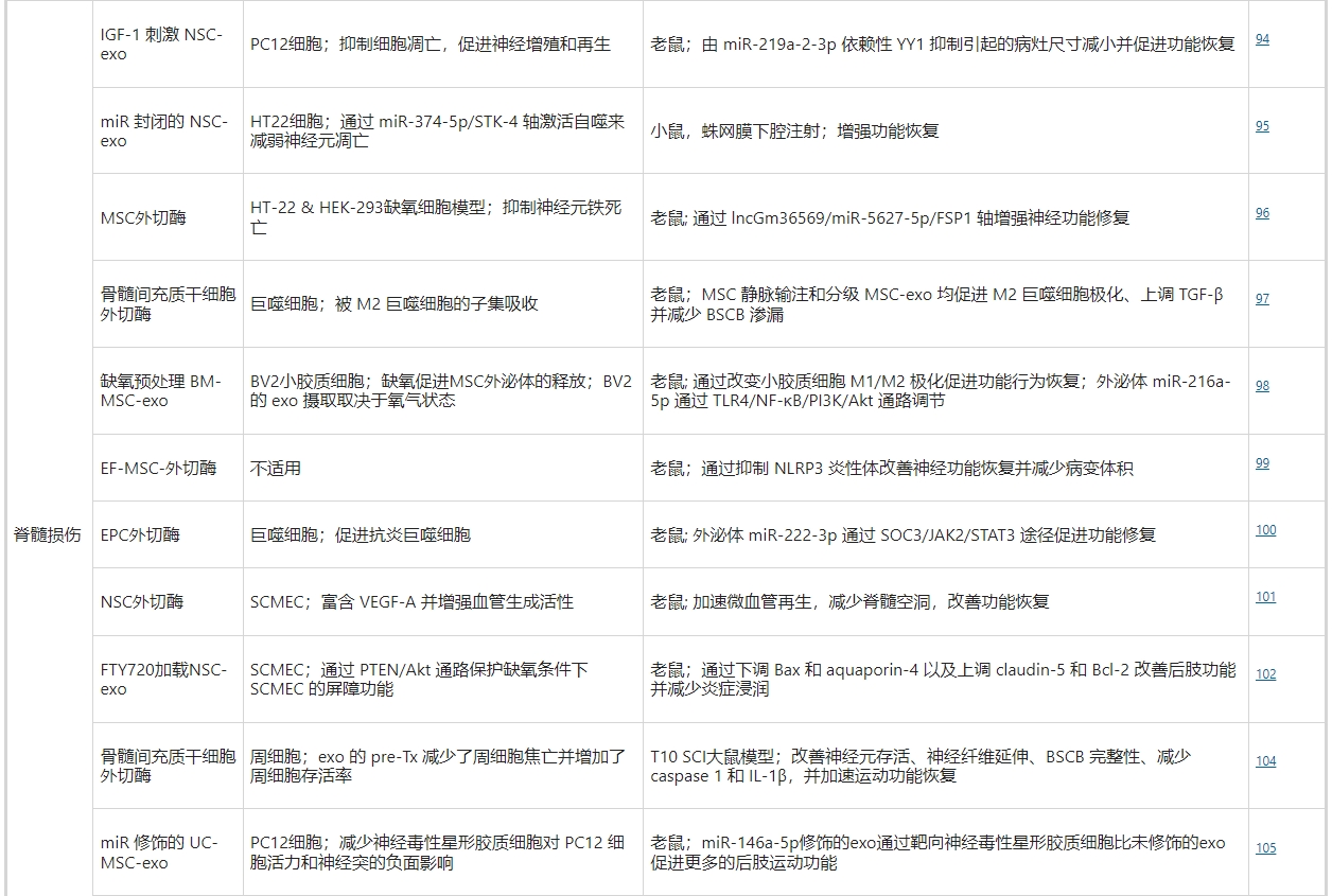 干細(xì)胞外泌體治療脊髓損傷
