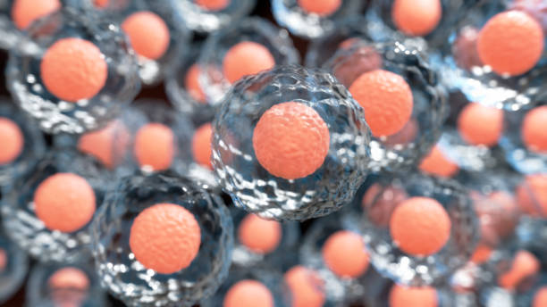 干細(xì)胞治療的平均費(fèi)用是多少？