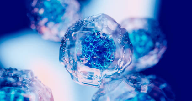 2024年重磅更新：藥監(jiān)局公布間充質(zhì)干細(xì)胞新藥，適應(yīng)治療的46種疾病名單！