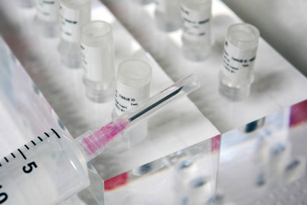 間充質(zhì)干細(xì)胞