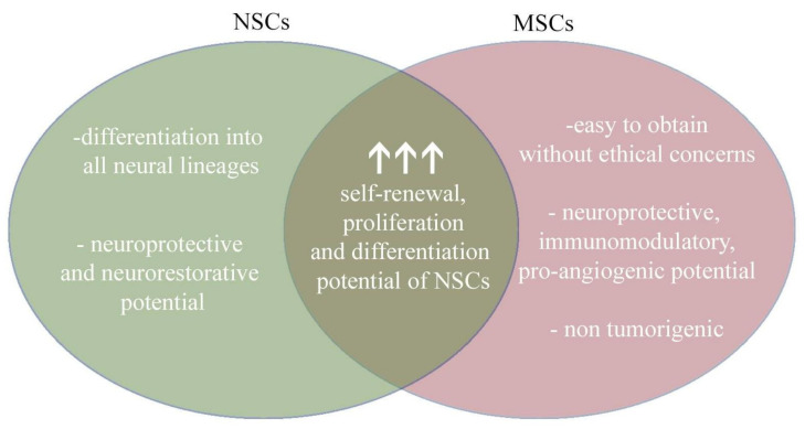 圖4：將神經(jīng)干細(xì)胞和間充質(zhì)干細(xì)胞的治療益處相結(jié)合，為治療提供了新的視角。
