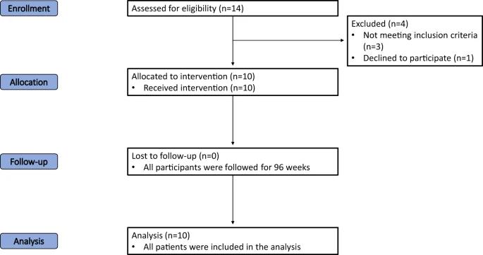 試驗各個階段（入組、分配、隨訪和分析）進展的流程圖。