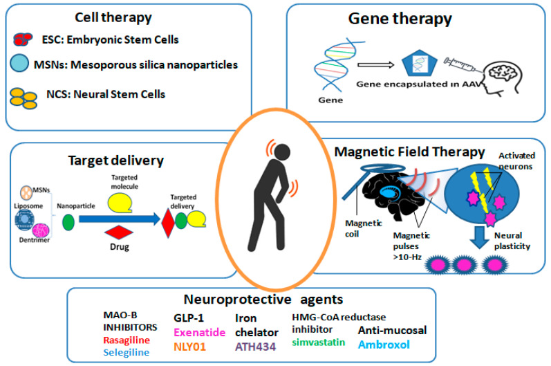 圖2：帕金森病的新療法概述。