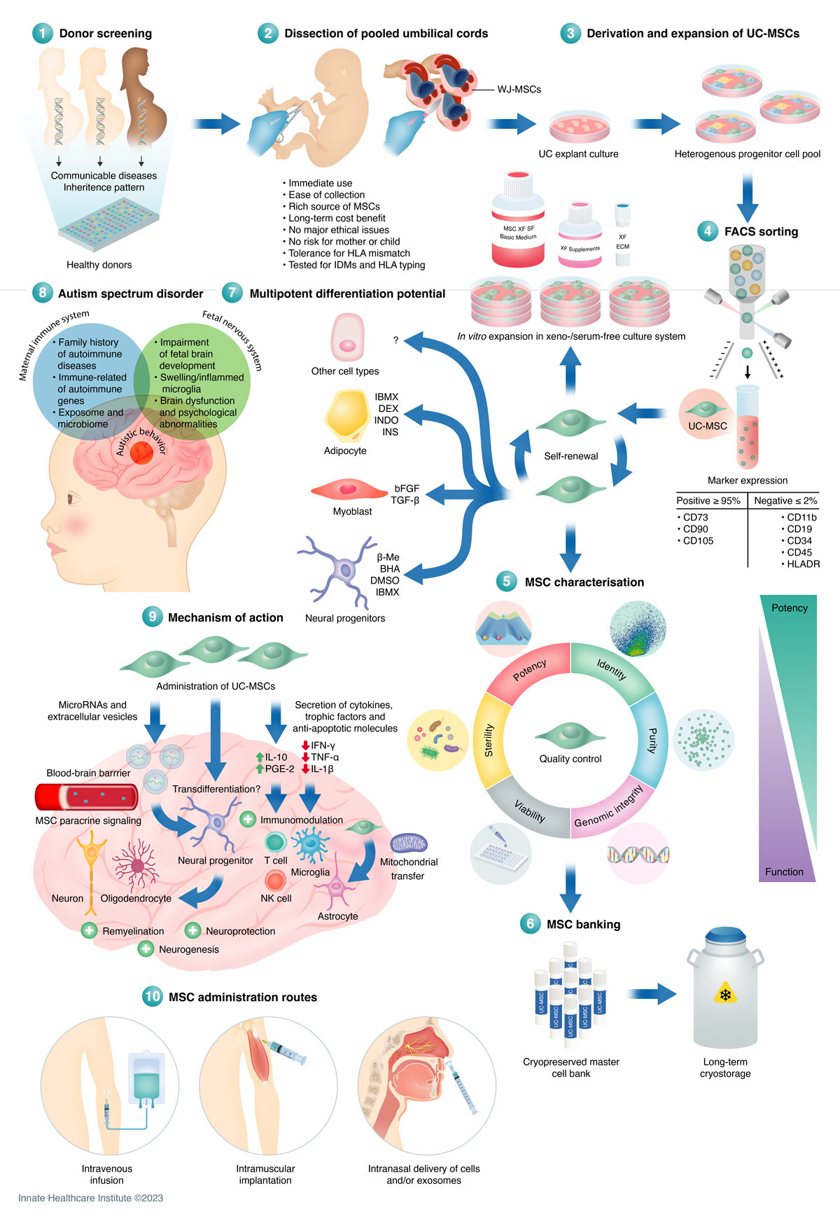 干細(xì)胞采集過程是什么樣的？干細(xì)胞如何移植治療自閉癥？