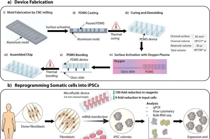 新設(shè)備改善了干細(xì)胞的生成，為阿爾茨海默氏癥細(xì)胞療法提供了機會