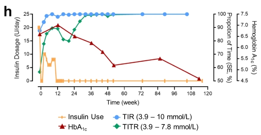 116周期間 TITR、TIR 和 HbA1c 以及胰島素劑量的臨床測(cè)量值